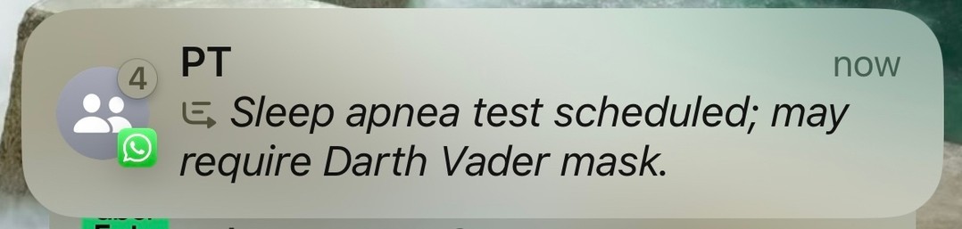 Apple Intelligence summary of a WhatsApp thread