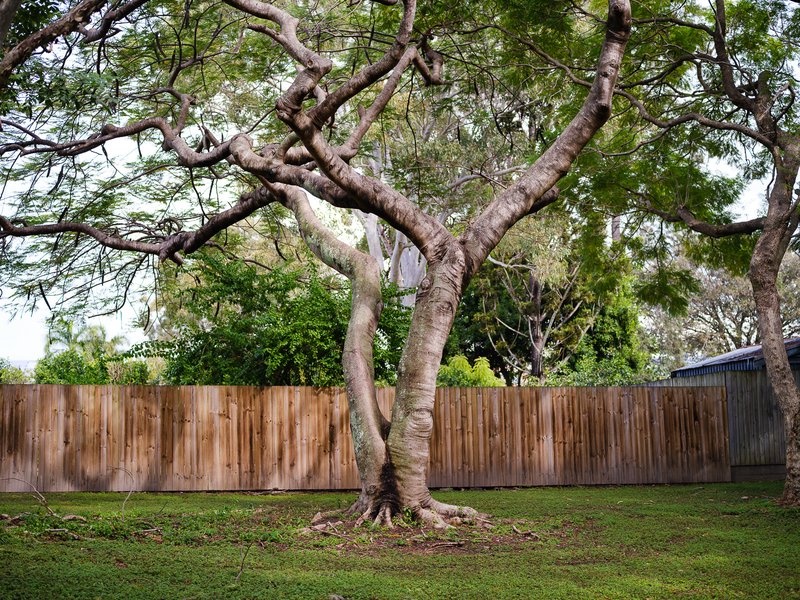 Twisted tree