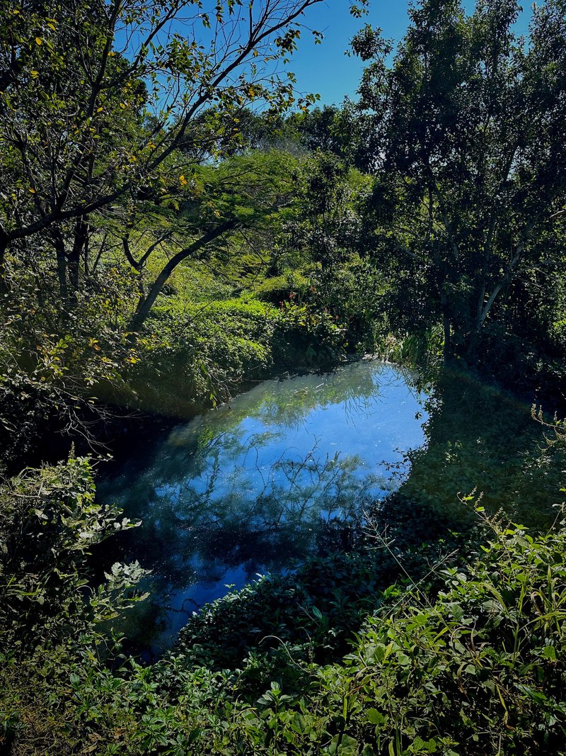 Creek
