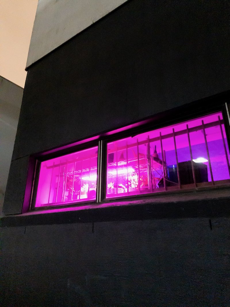 Window