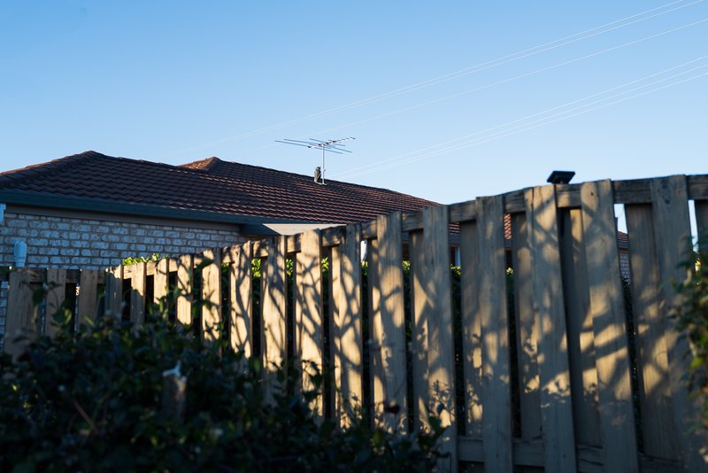 Back fence