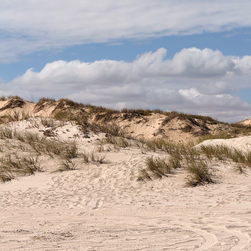 Sand dunes