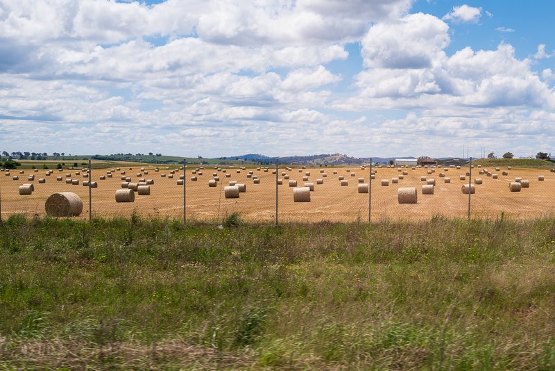 Near Bathurst