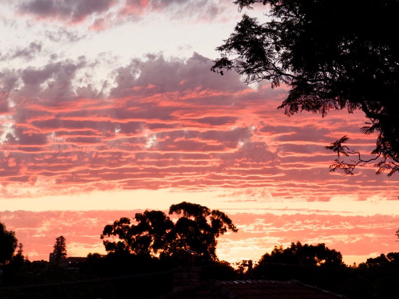 Sunset over houses