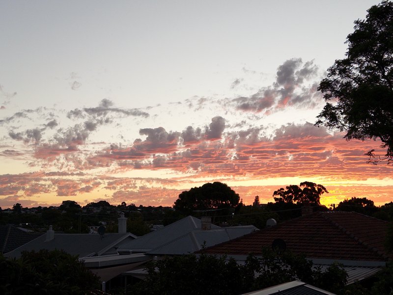 Sunset over houses