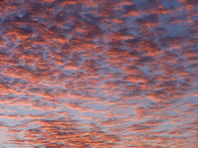 All cloud