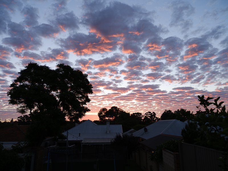 Cloudy out the back