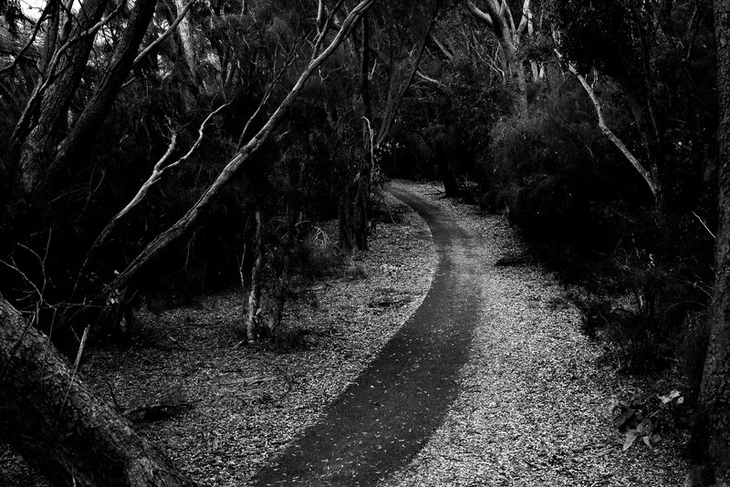 Galup walking path