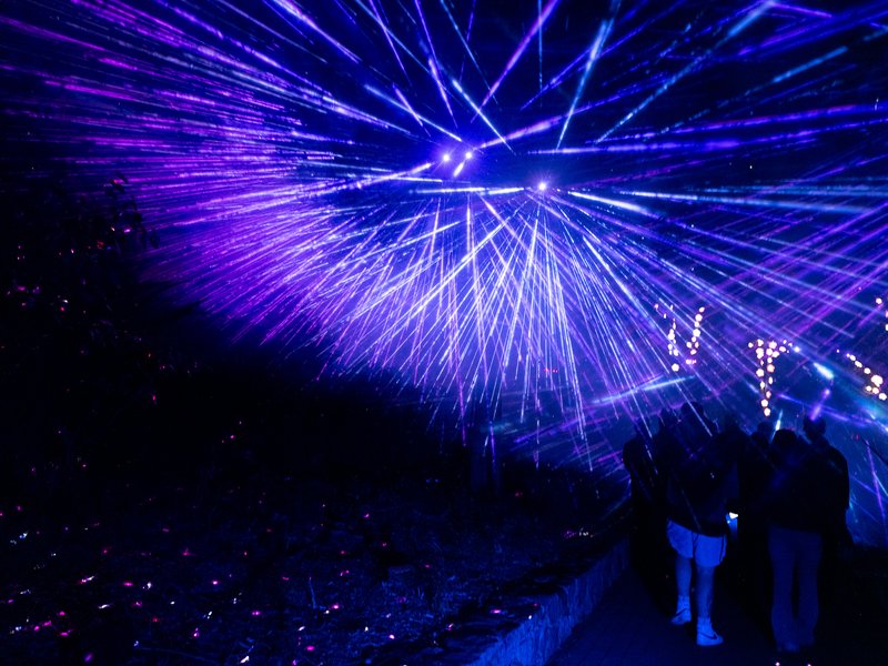 A group of people standing in front of a vibrant purple laser light display.