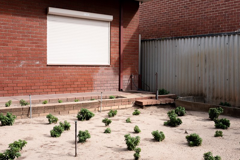 Red brick building with white shutter, sandy garden, and green plants.