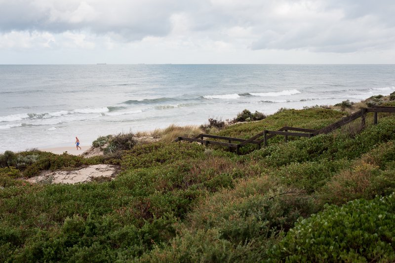 Coastal path winds through greenery, leading to sandy beach with lone figure walking.